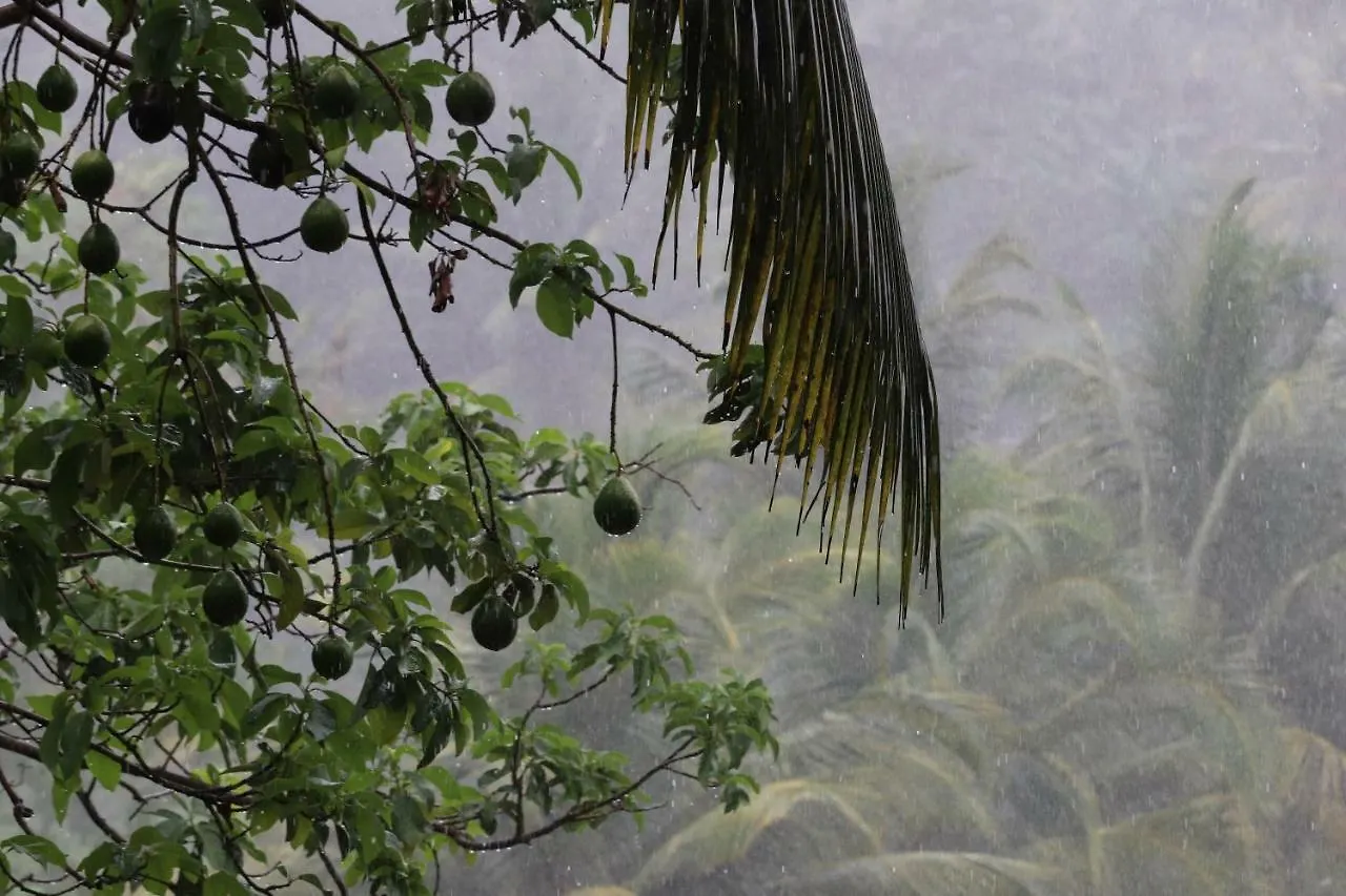 Hill Country Villa Kandy 0*,
